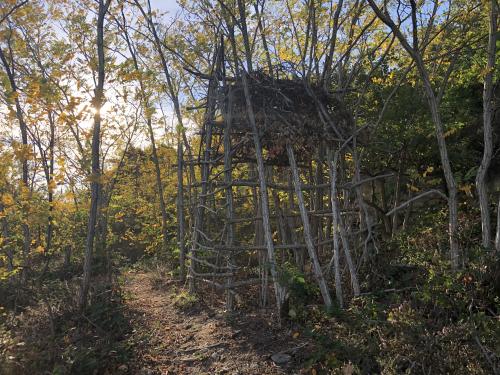 Smartphone (6164).JPG